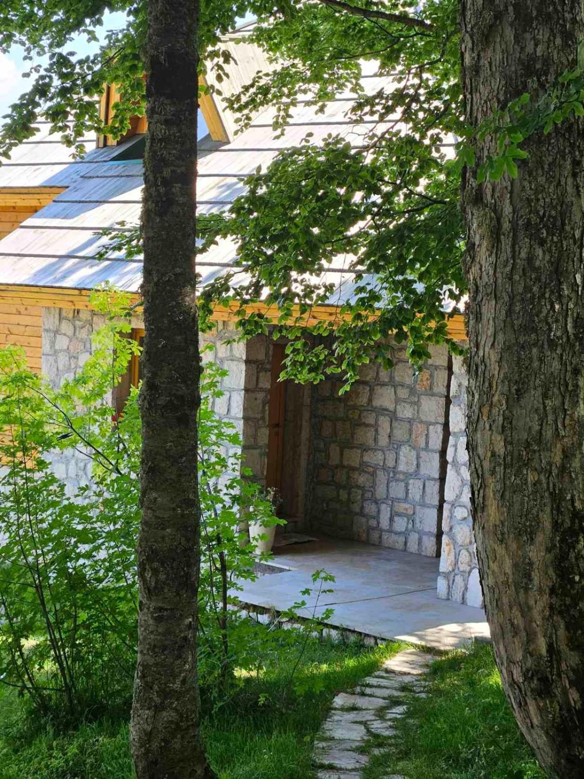 Green Forest Žabljak Exterior foto