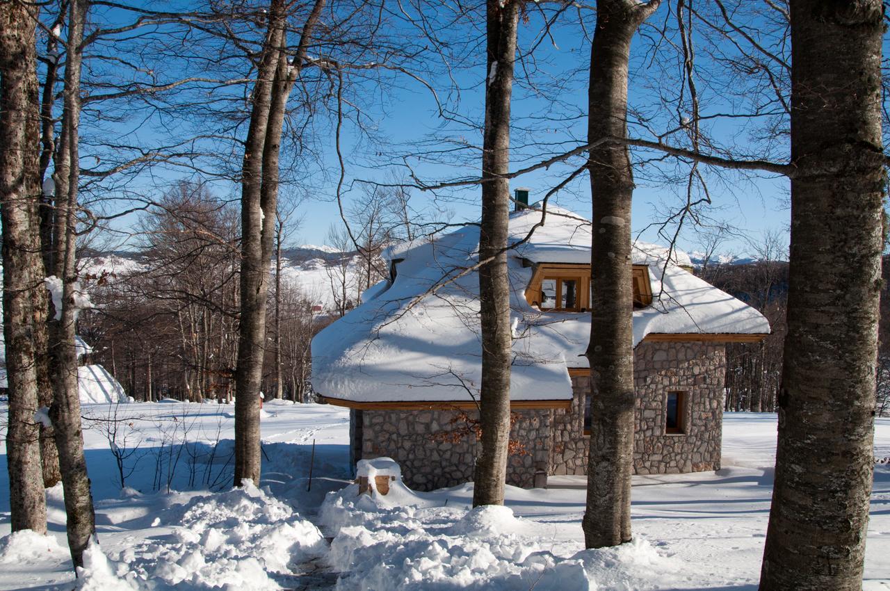 Green Forest Žabljak Exterior foto