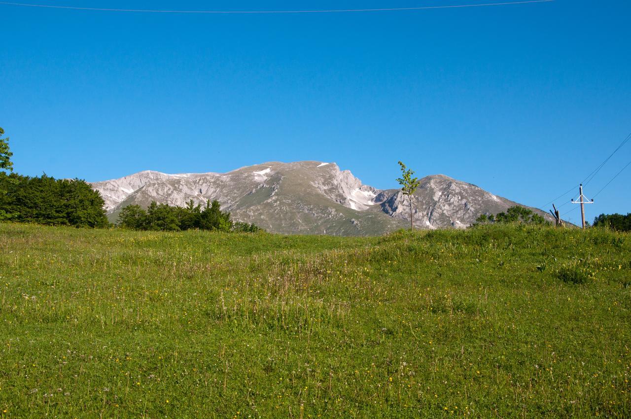 Green Forest Žabljak Exterior foto